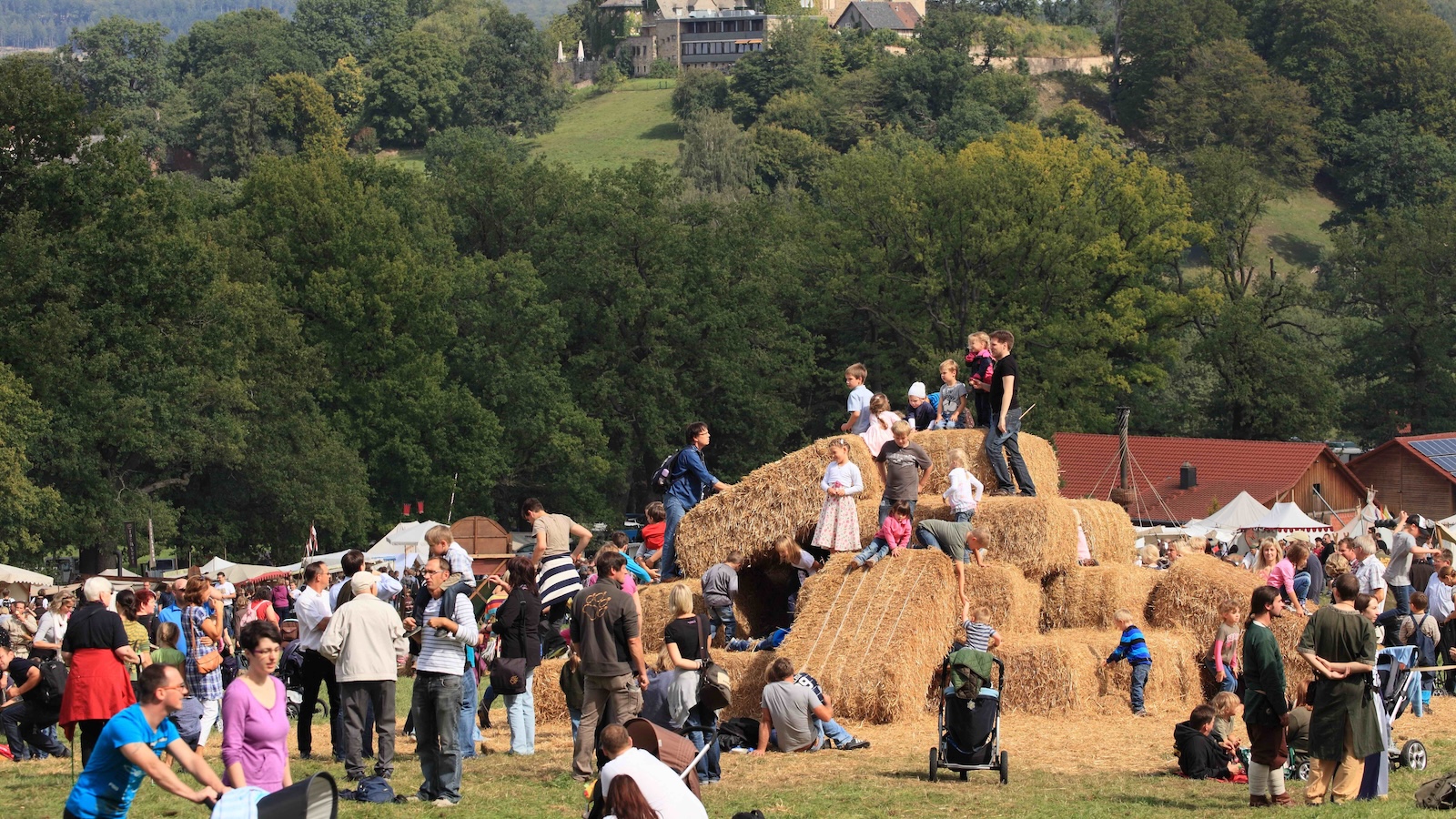 Ein Fest für alle Sinne: 17. Mittelalterliches Spectaculum im Tierpark Sababurg 